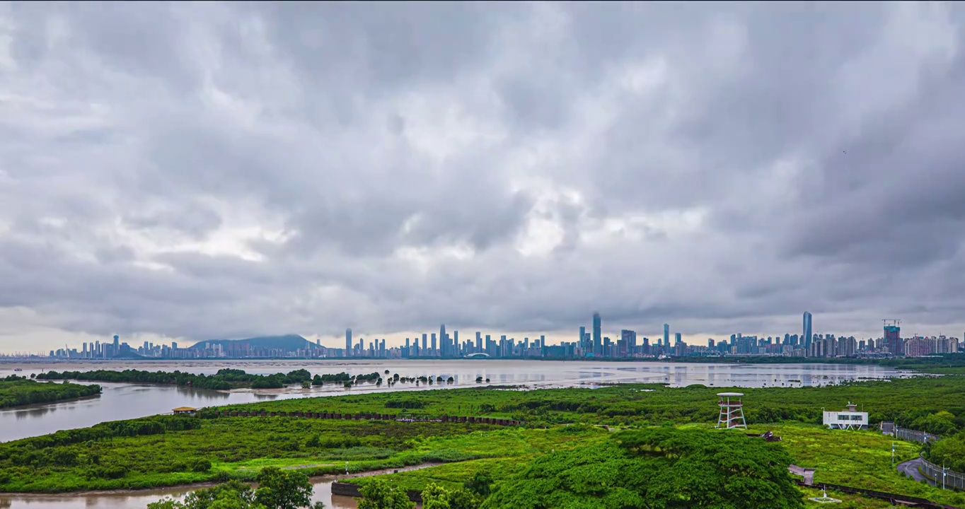 雨后视频下载