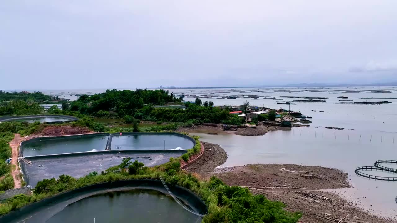 广西防城港珍珠湾养殖基地风光视频素材