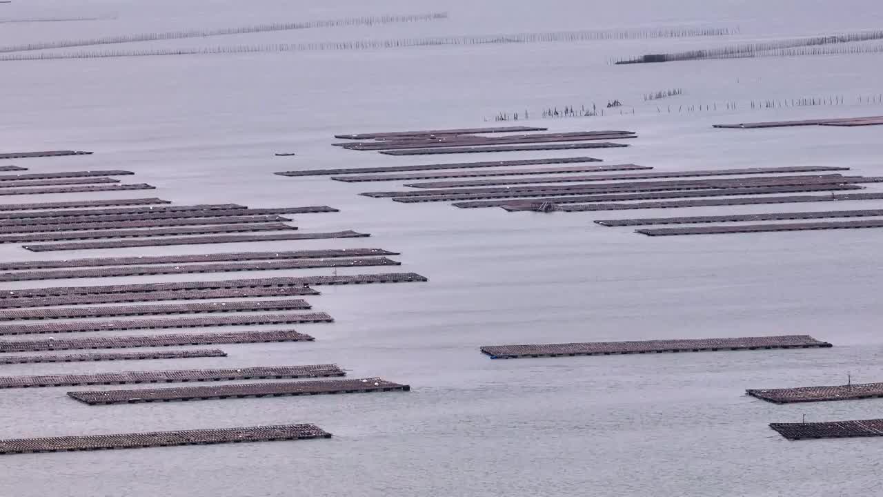 广西防城港珍珠湾养殖基地风光视频素材