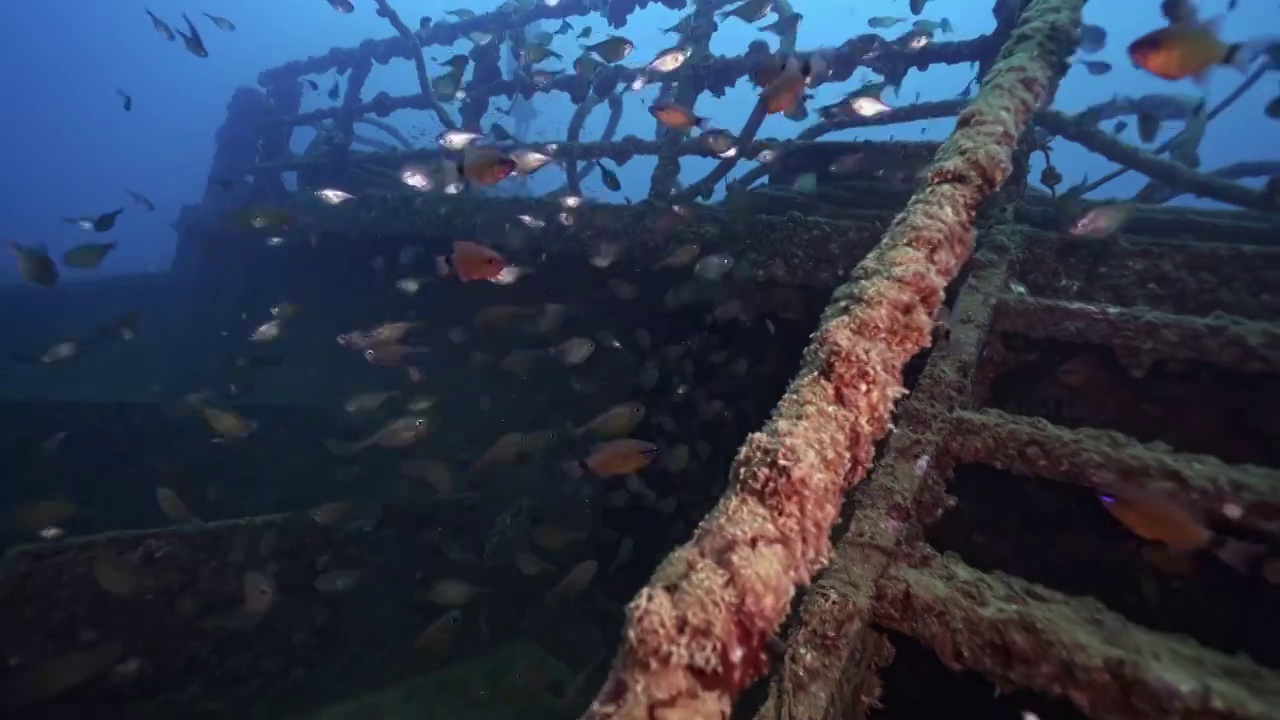 水下摄影中国南海海底遗迹沉船人工鱼礁视频素材