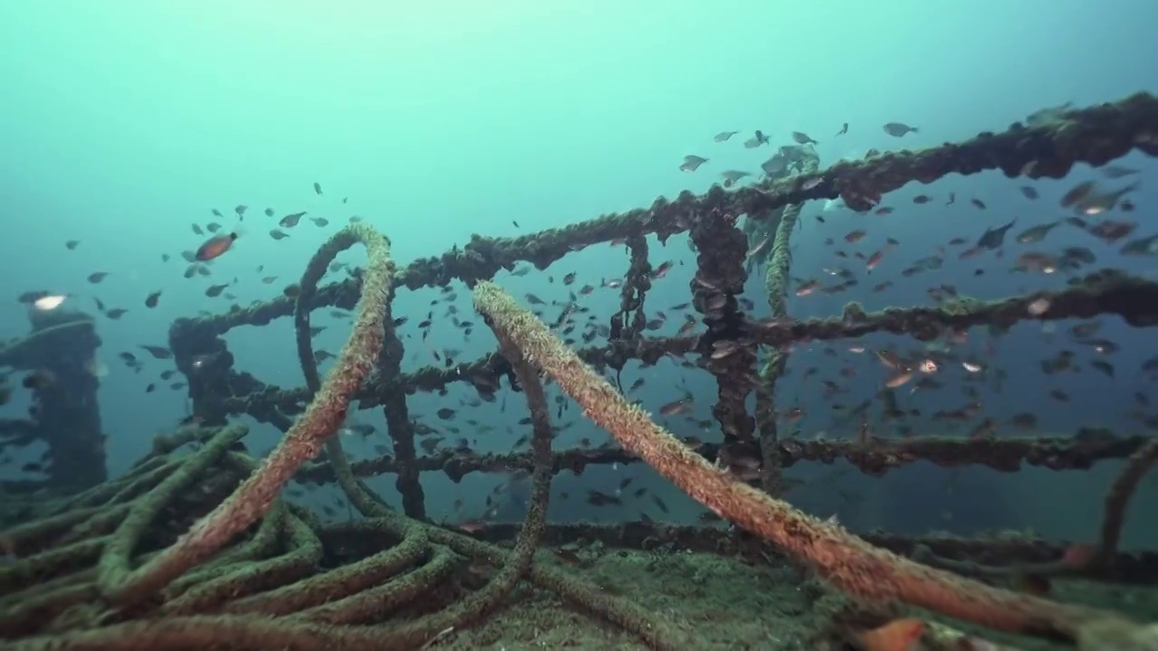 水下摄影中国南海海底遗迹沉船人工鱼礁视频素材