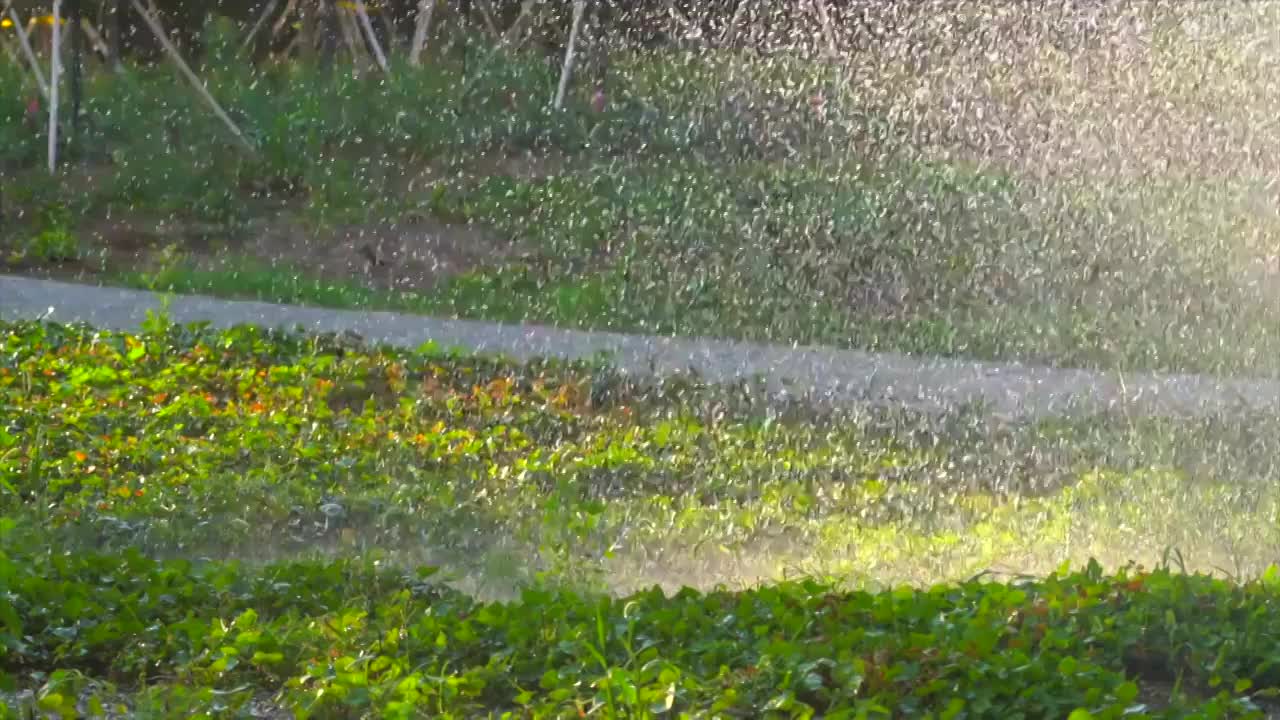 下雨天出太阳视频素材