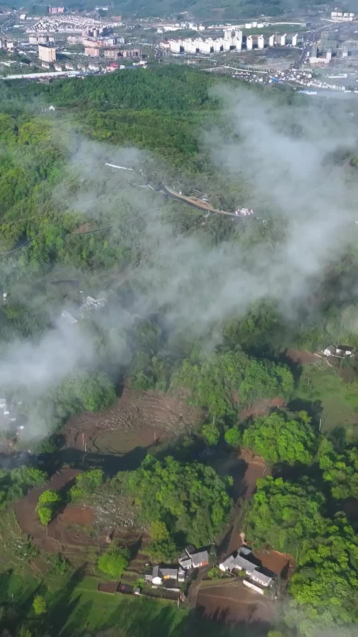 竖屏航拍贵州百里杜鹃普底景区云雾缭绕（合集）视频素材