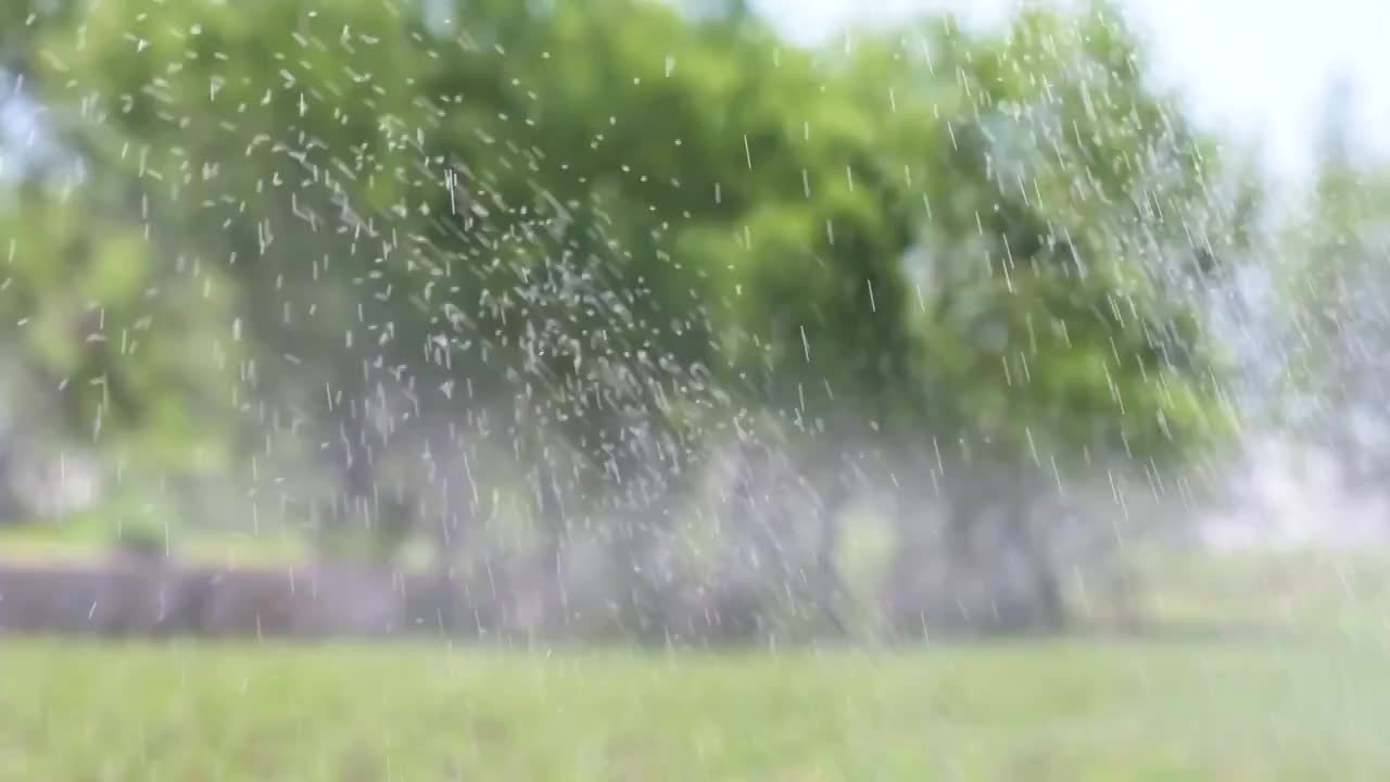 花园喷灌视频素材