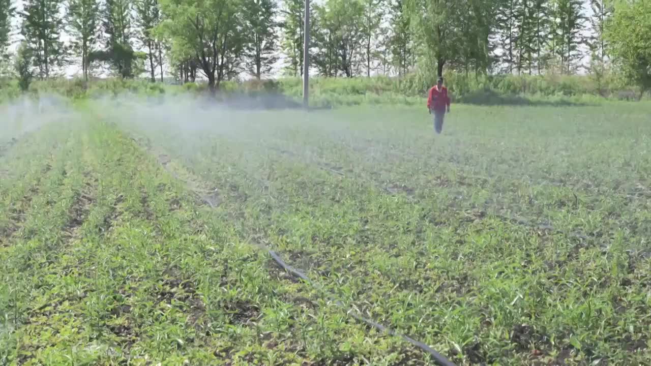 花园喷灌视频素材