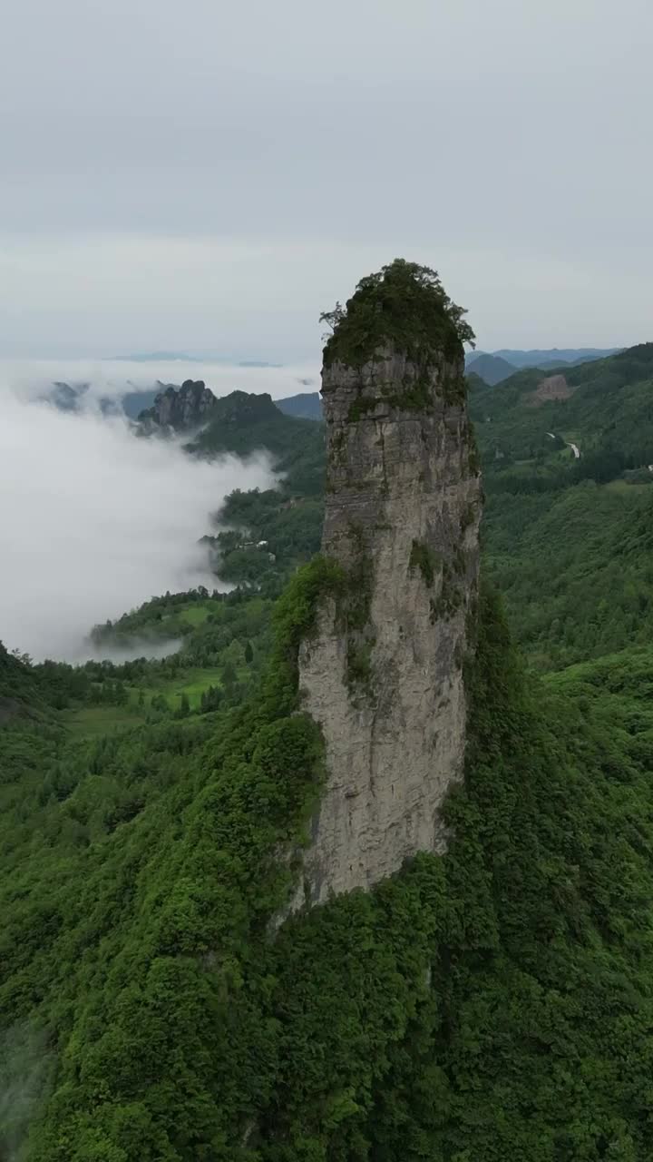 国有地质公园湖北恩施大峡谷绝壁长廊朝天笋风光视频素材