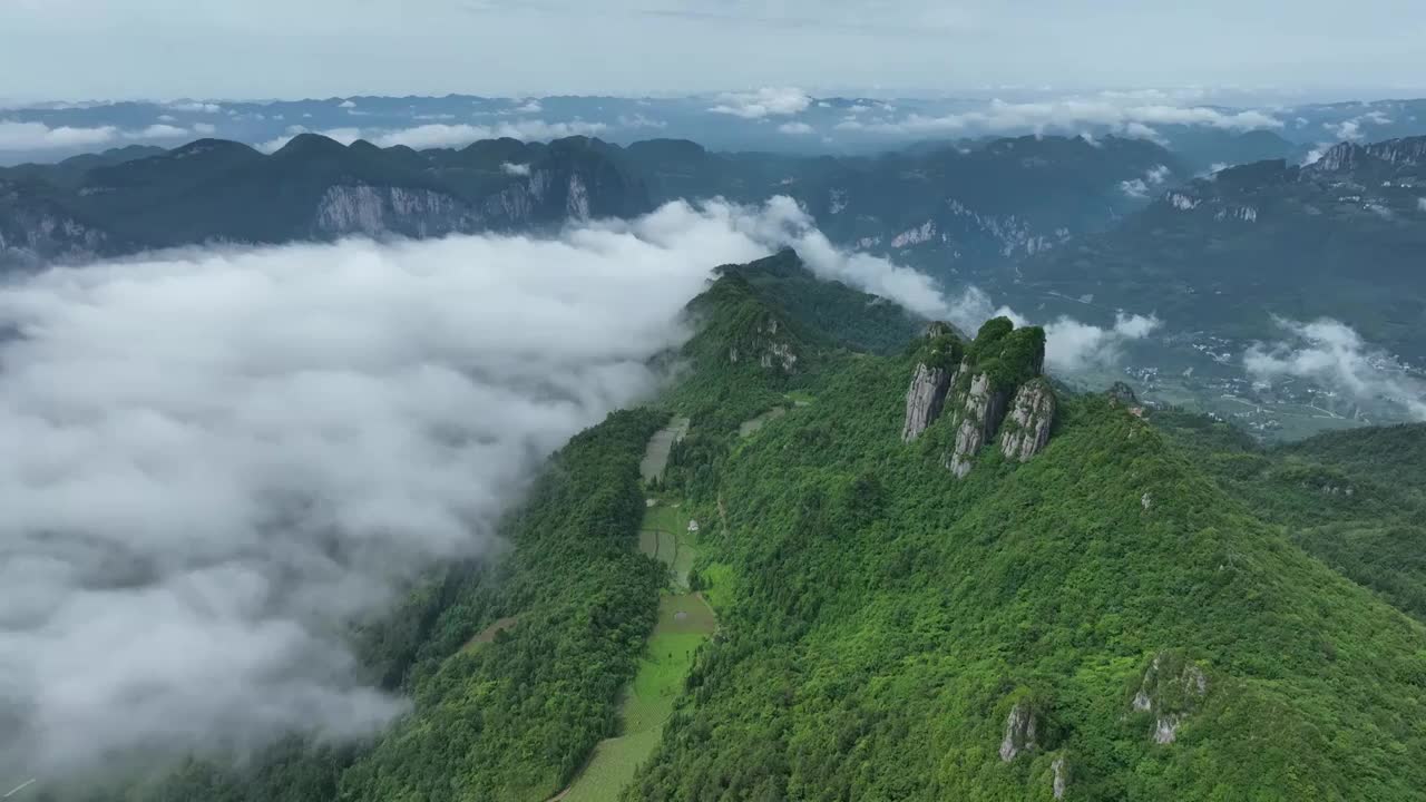 国有地质公园湖北恩施大峡谷绝壁长廊朝天笋风光视频素材