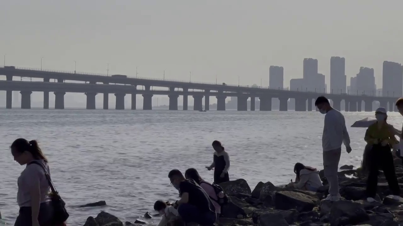 海滩上的游客和远处驶过跨海大桥的动车组视频素材