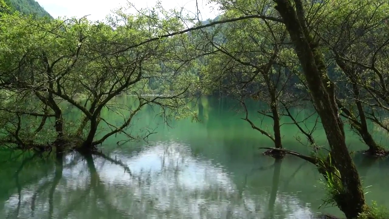 湖北恩施白果永红水库高山湿地风光美如画视频素材