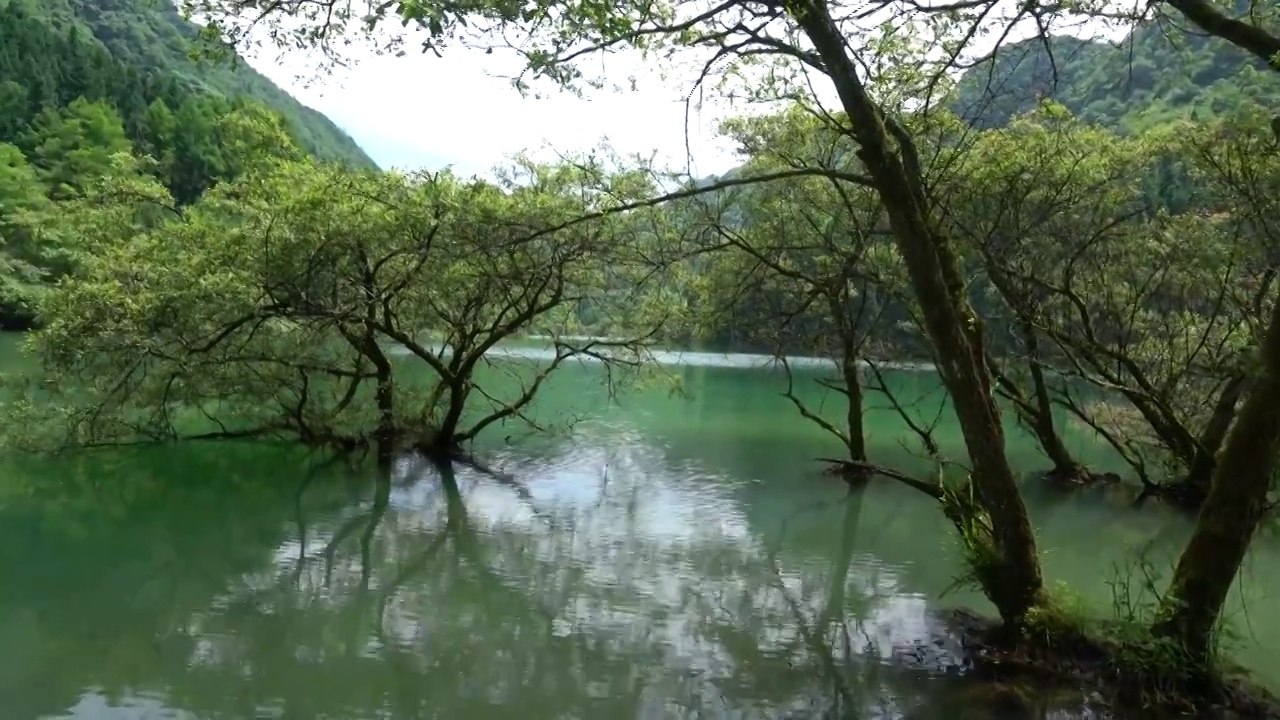 湖北恩施白果永红水库高山湿地风光美如画视频素材