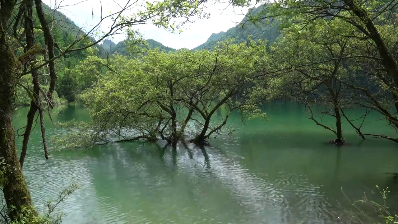 湖北恩施白果永红水库高山湿地风光美如画视频素材