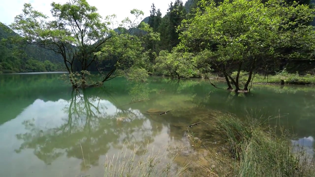 湖北恩施白果永红水库高山湿地风光美如画视频素材