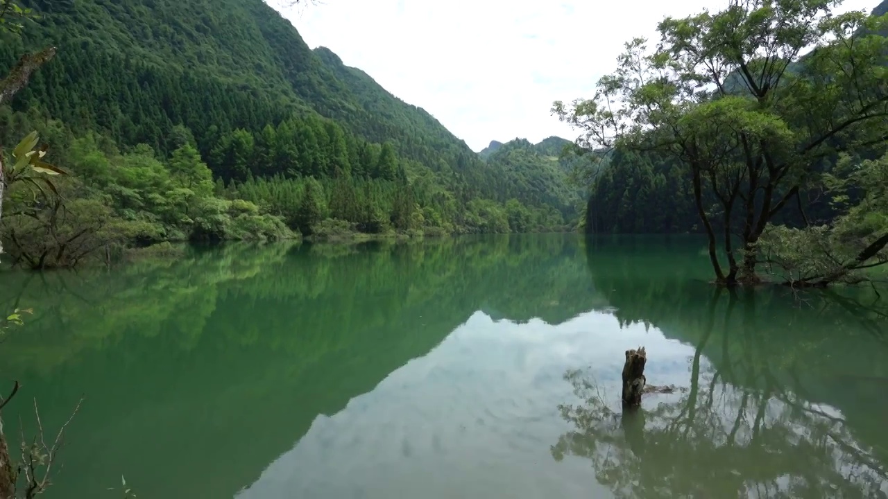 湖北恩施白果永红水库高山湿地风光美如画视频素材