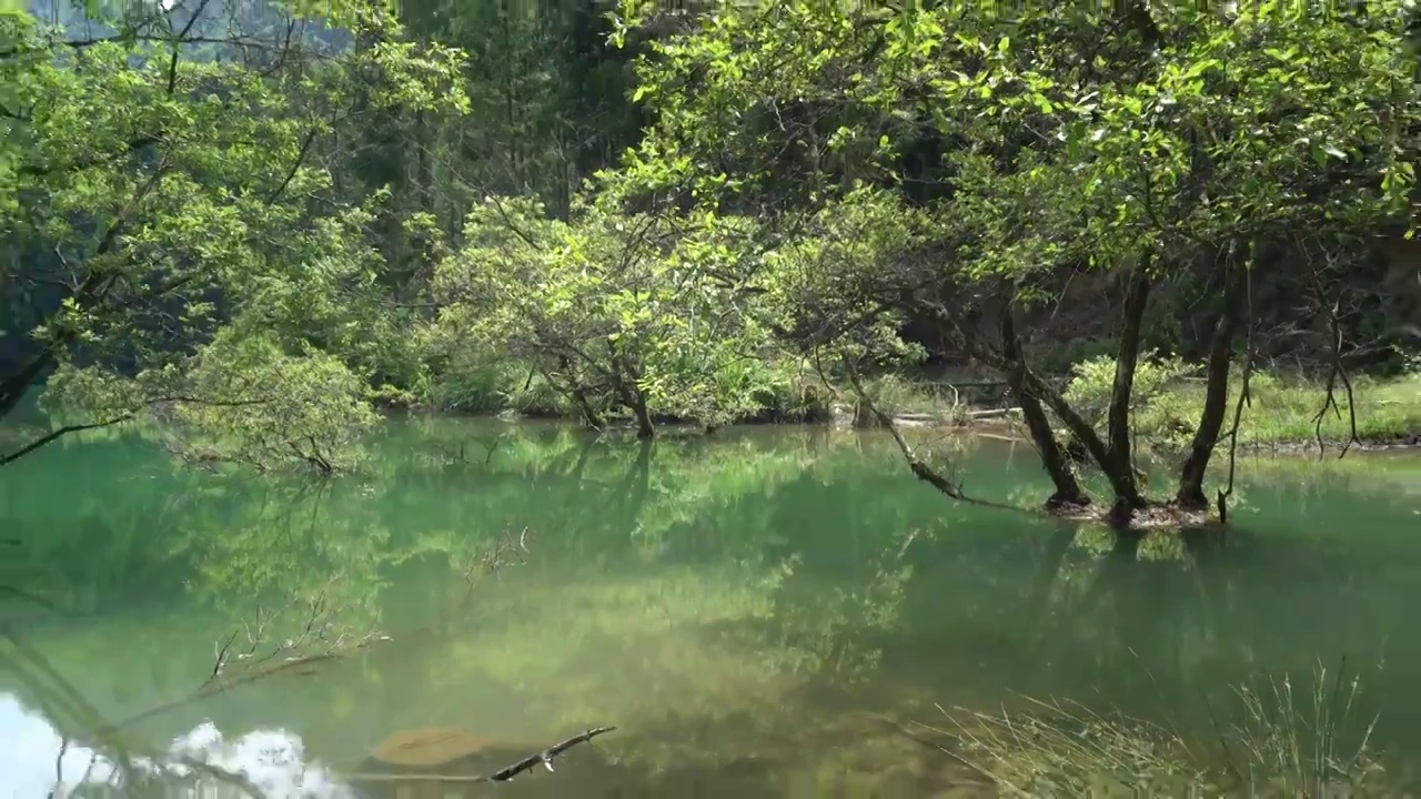 湖北恩施白果永红水库高山湿地风光美如画视频素材