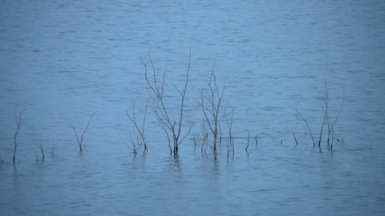 北京园博湖视频素材