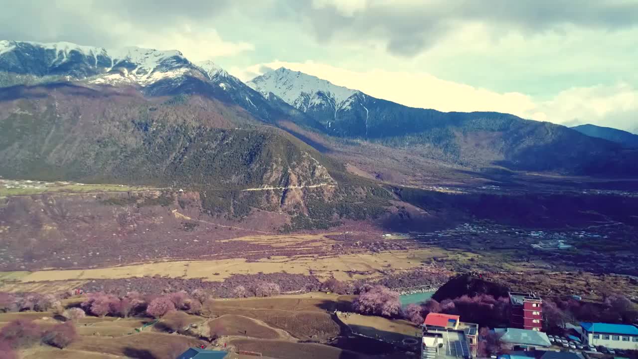 西藏林芝春天雅鲁藏布大峡谷桃花盛开航拍视频素材