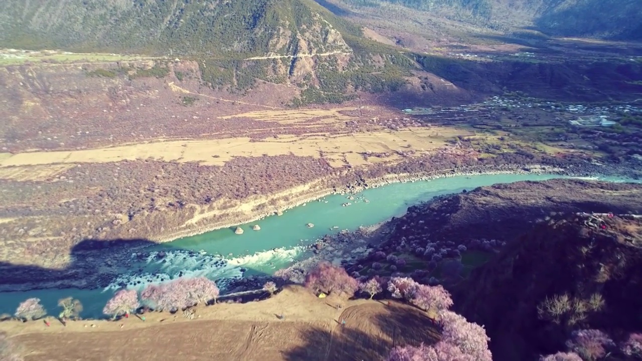 西藏林芝春天雅鲁藏布大峡谷桃花盛开航拍视频素材