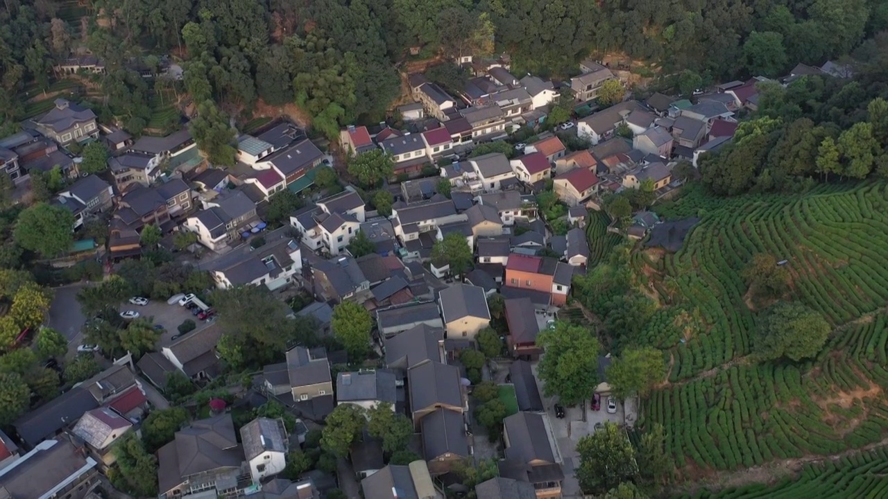 龙井村航拍视频素材