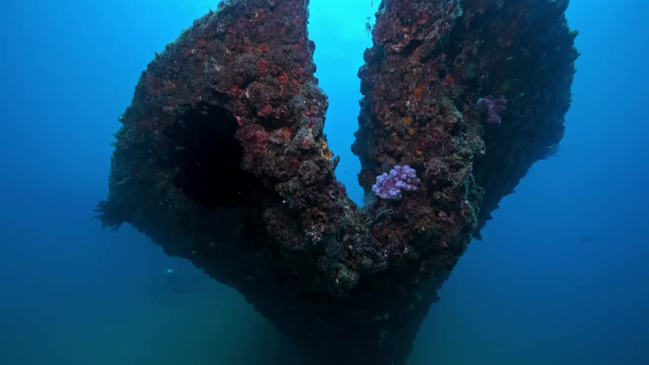 水下摄影中国南海海底遗迹沉船人工鱼礁视频素材