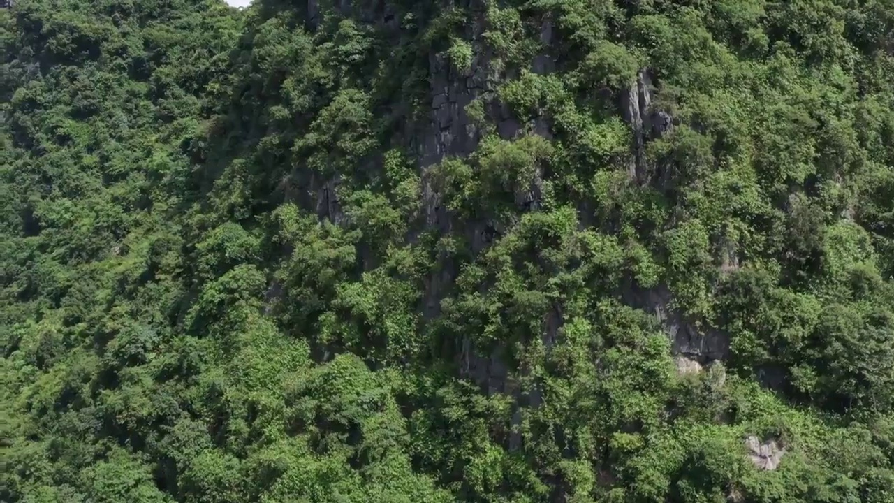 广西壮族自治区桂林市喀斯特地貌航拍风光视频素材