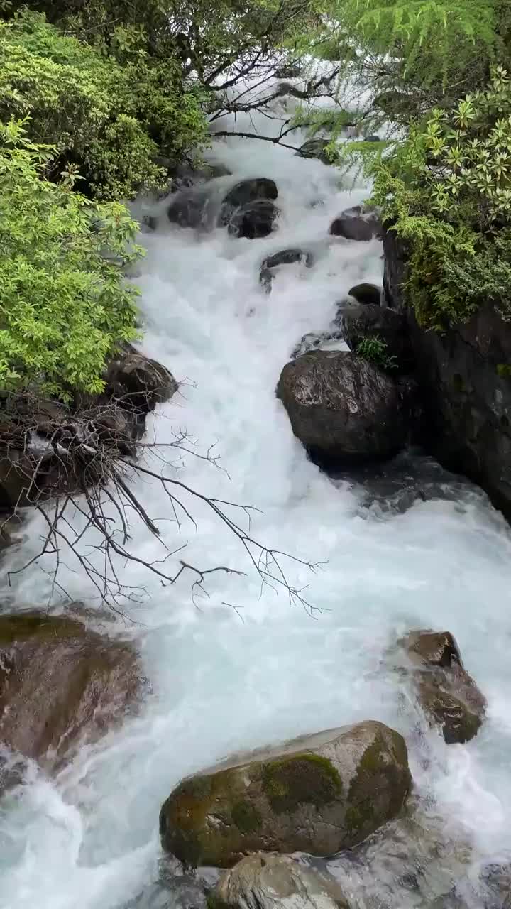 卧龙邓生沟河谷竖幅拍摄2视频素材