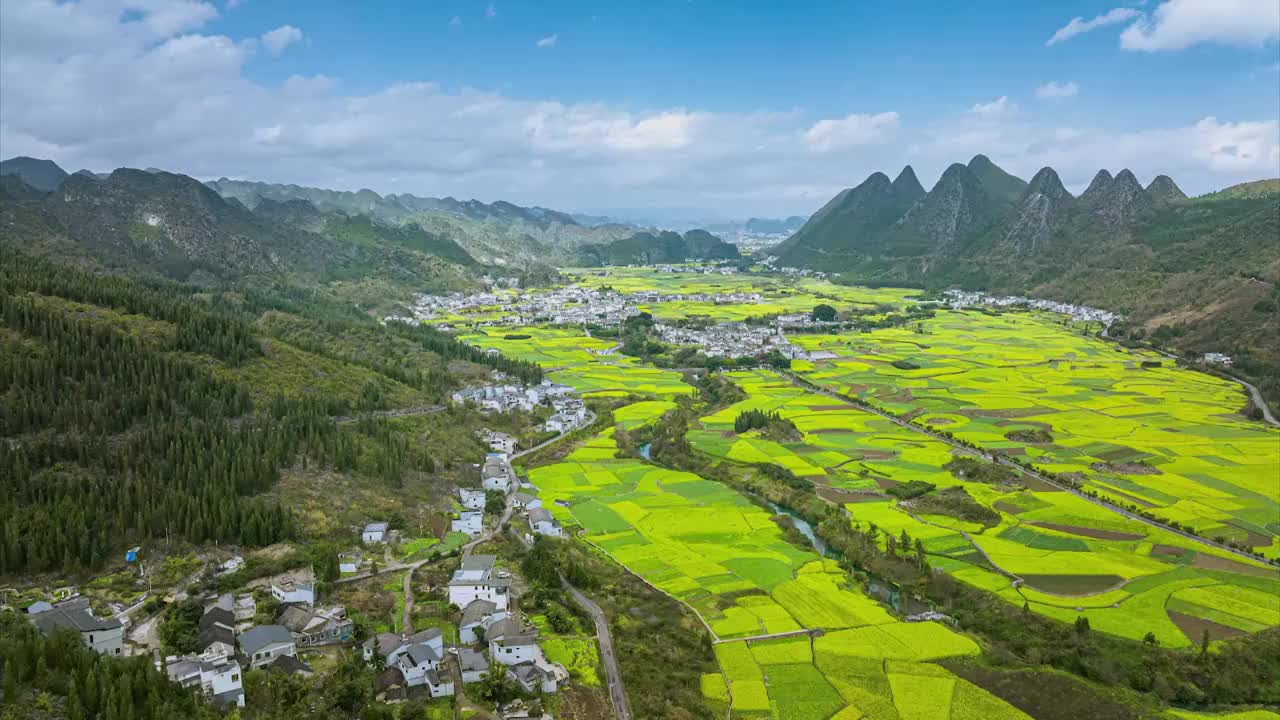 油菜花海视频素材