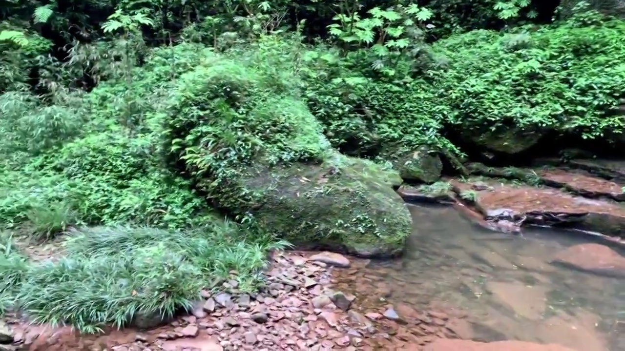 碧峰峡千层岩瀑布视频素材