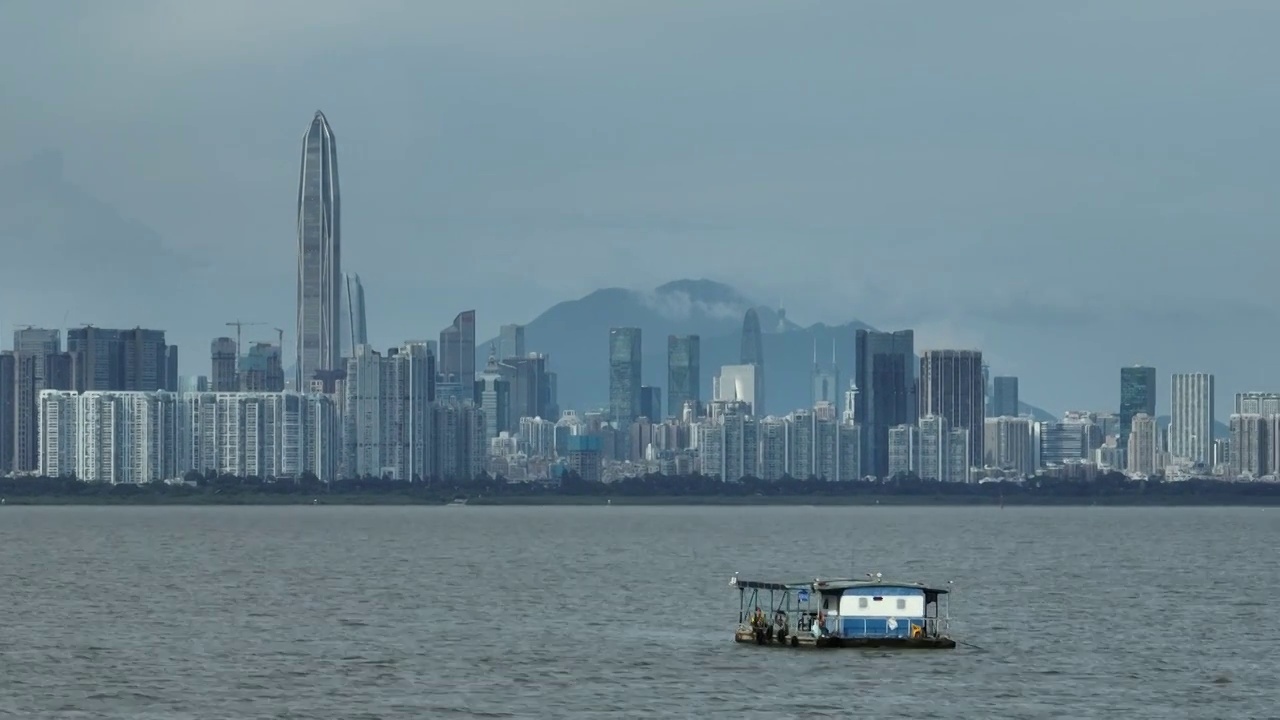 深圳湾海面船只与福田CBD建筑视频素材