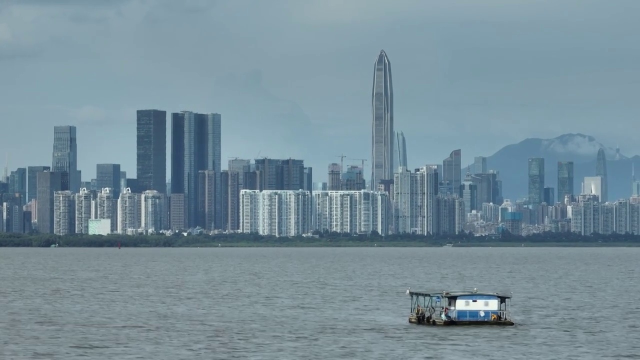 深圳湾海面船只与福田CBD建筑视频素材