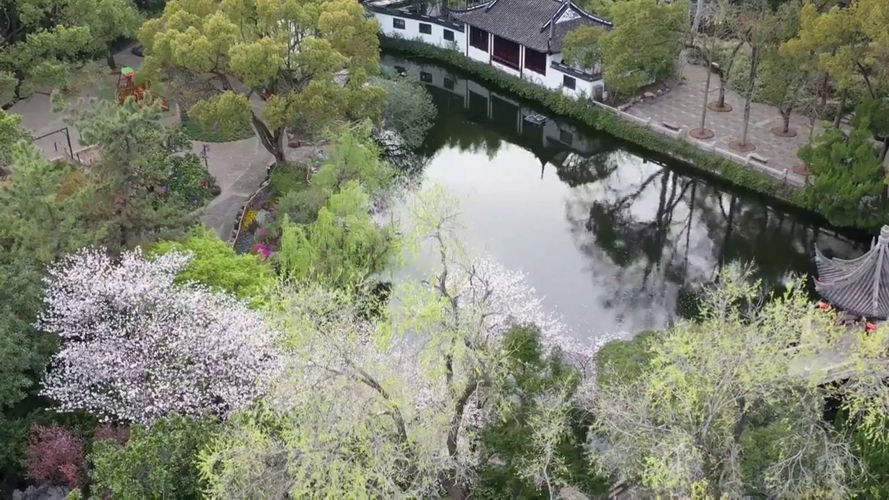 航拍上海城市文旅地标建筑景观——上海古猗园视频素材