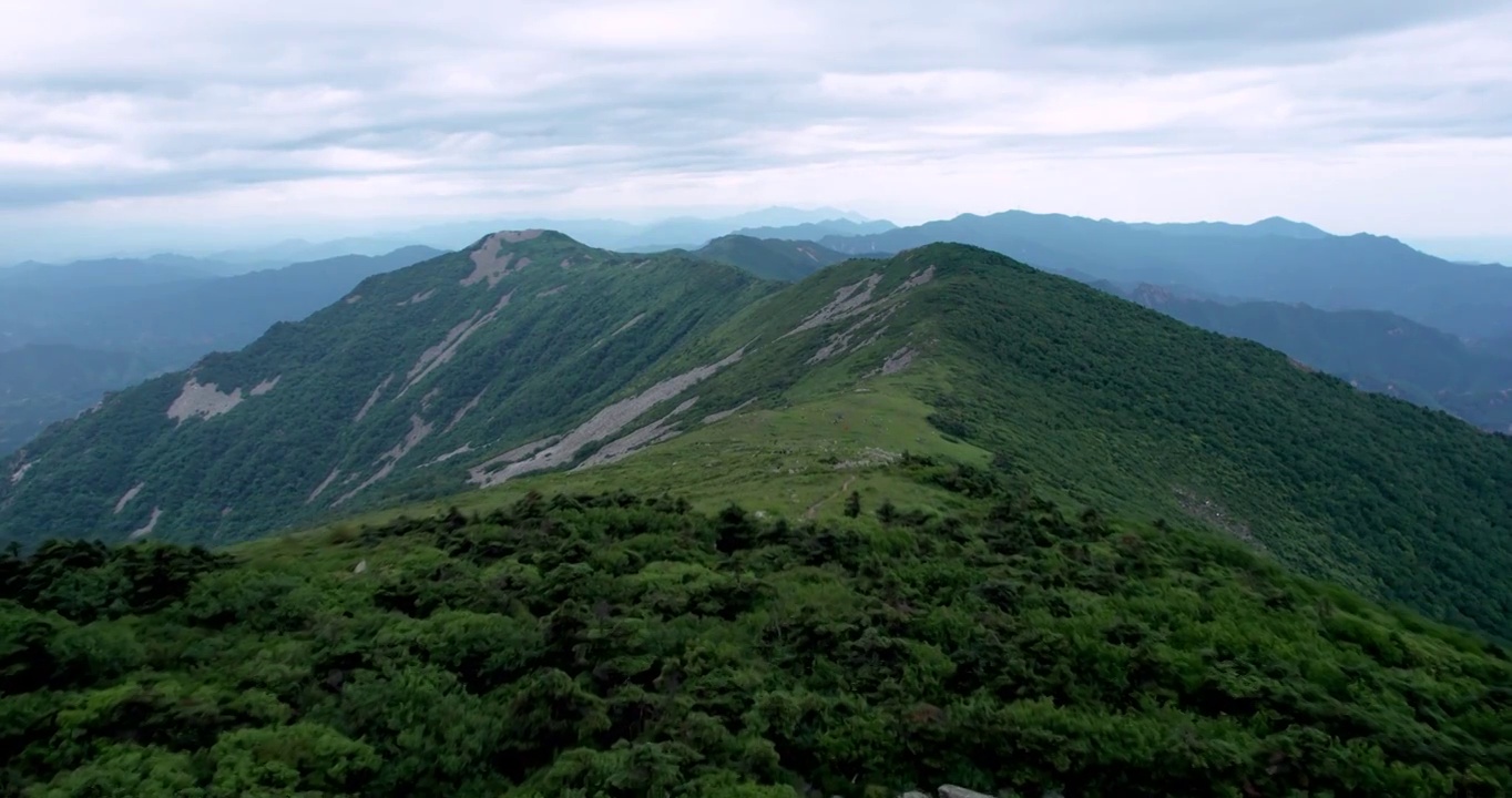 秦岭草链岭视频素材