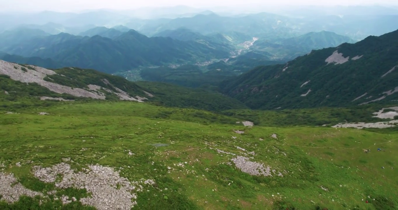 秦岭草链岭视频素材