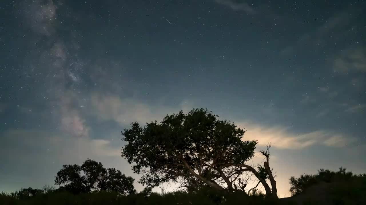 胡杨树上的银河星空延时视频素材