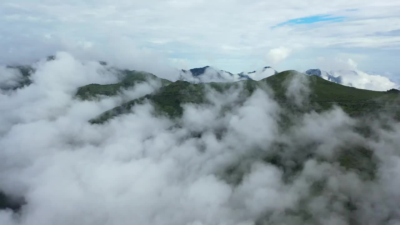 湖北神农架林区神农顶云雾缭绕自然风光视频素材