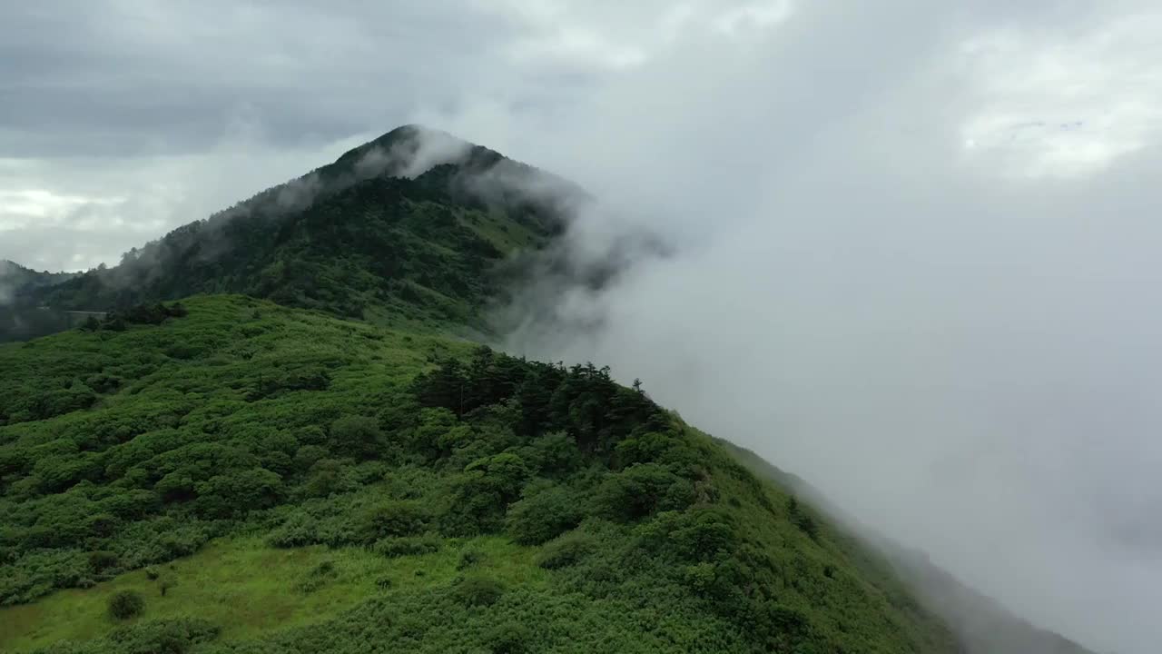 湖北神农架林区神农顶云雾缭绕自然风光视频素材