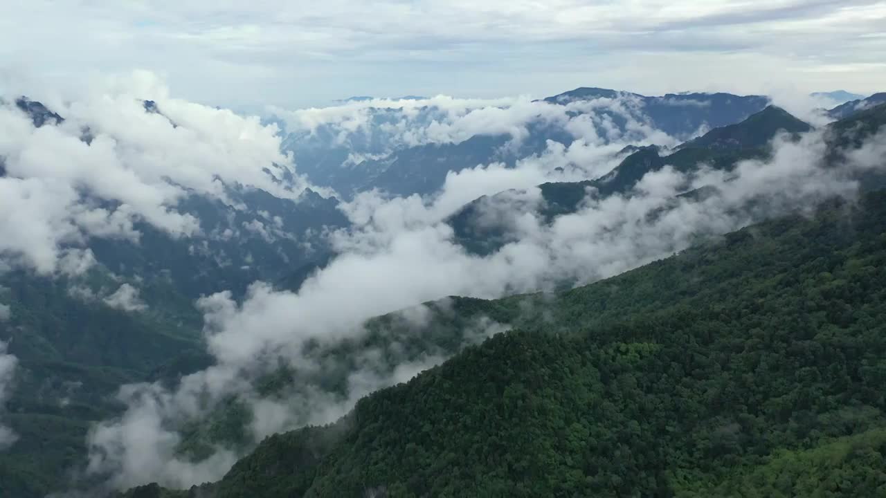 湖北神农架林区神农顶云雾缭绕自然风光视频素材