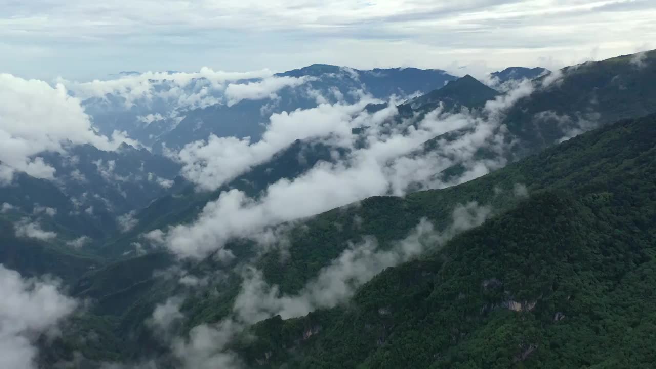 湖北神农架林区神农顶云雾缭绕自然风光视频素材