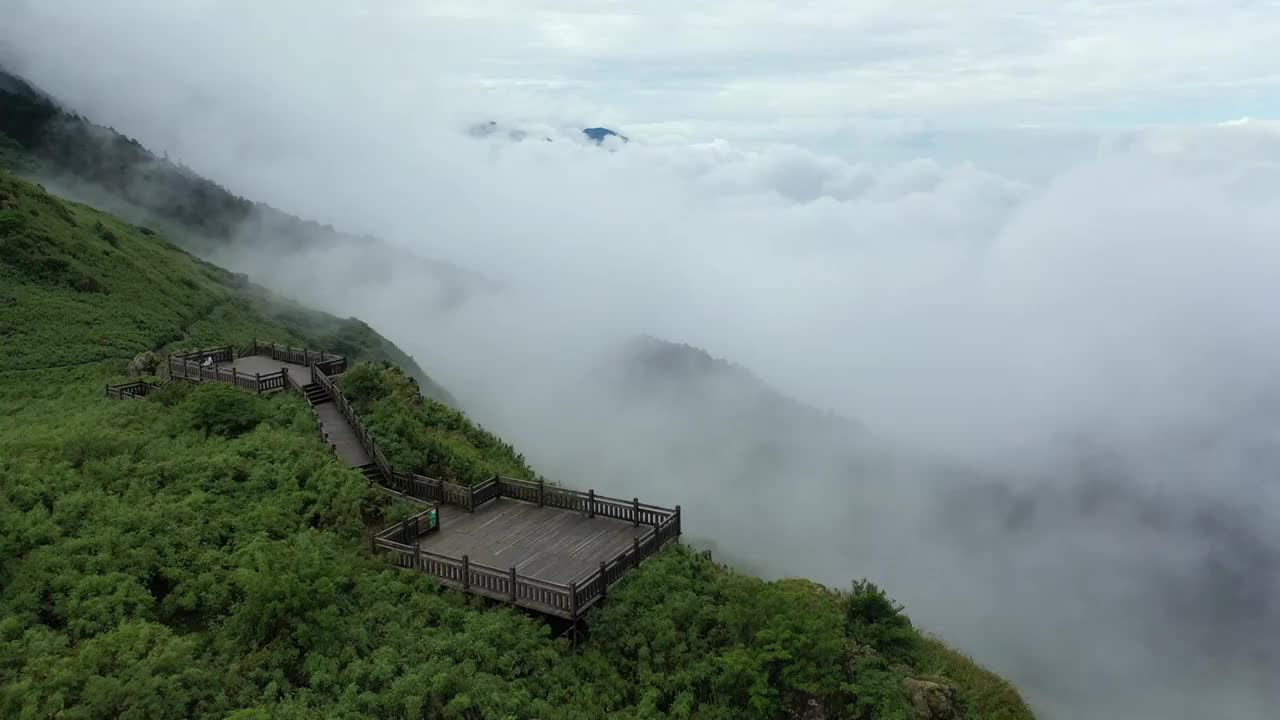 湖北神农架林区神农顶云雾缭绕自然风光视频素材