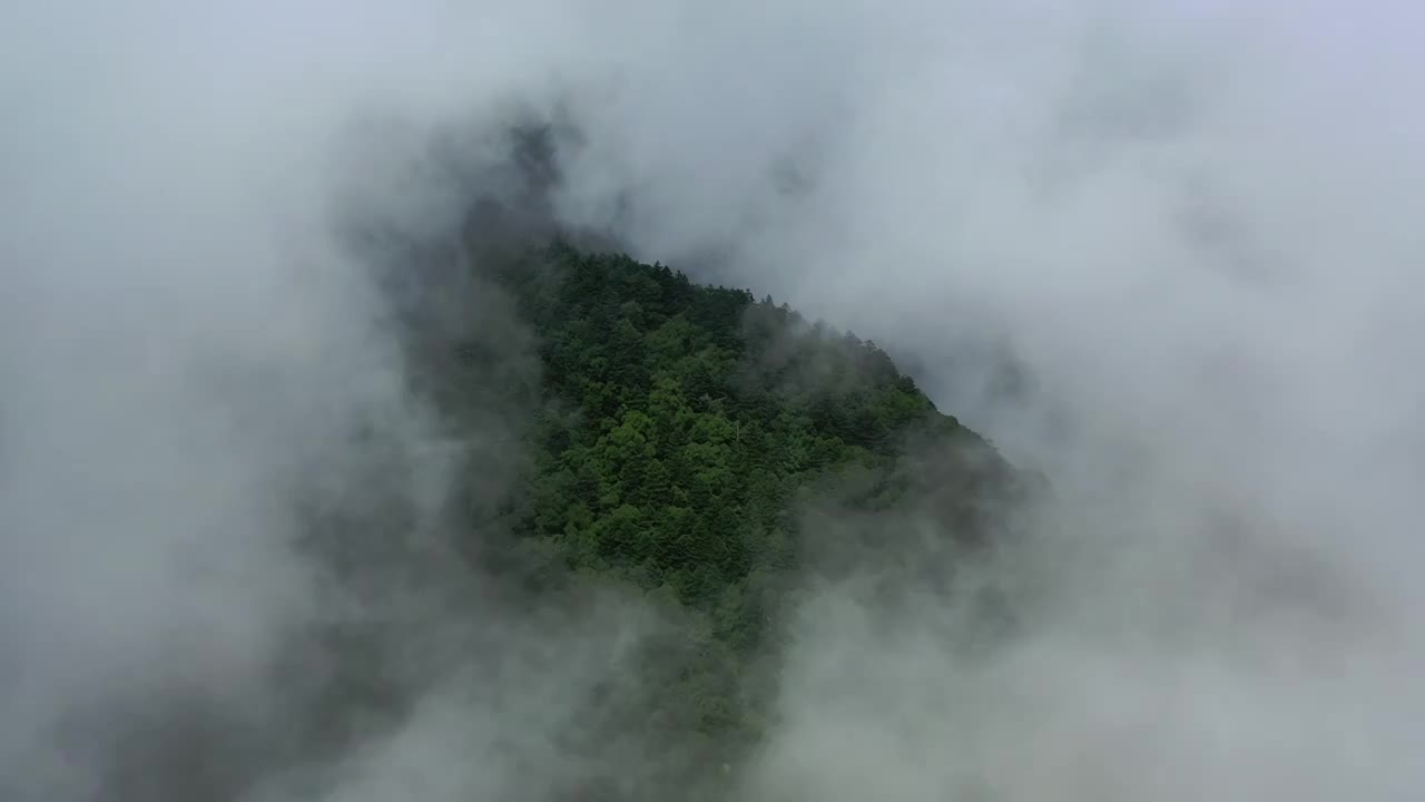 湖北神农架林区神农顶云雾缭绕自然风光视频素材