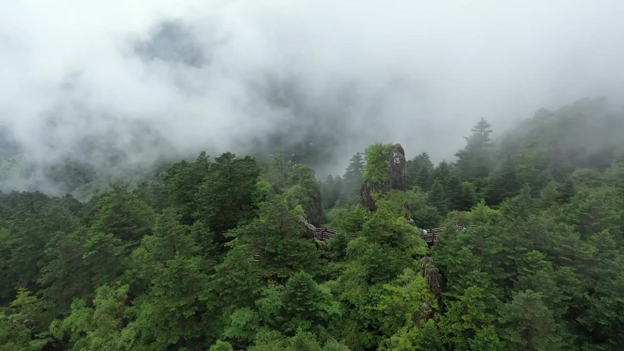 湖北神农架林区神农顶云雾缭绕自然风光视频素材