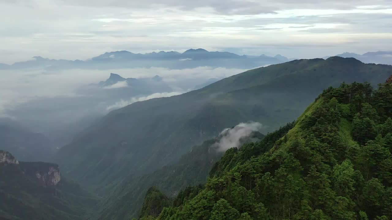 湖北神农架林区神农顶云雾缭绕自然风光视频素材