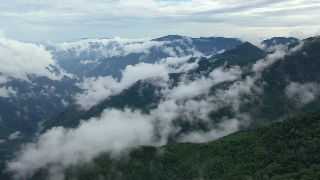 湖北神农架林区神农顶云雾缭绕自然风光视频素材