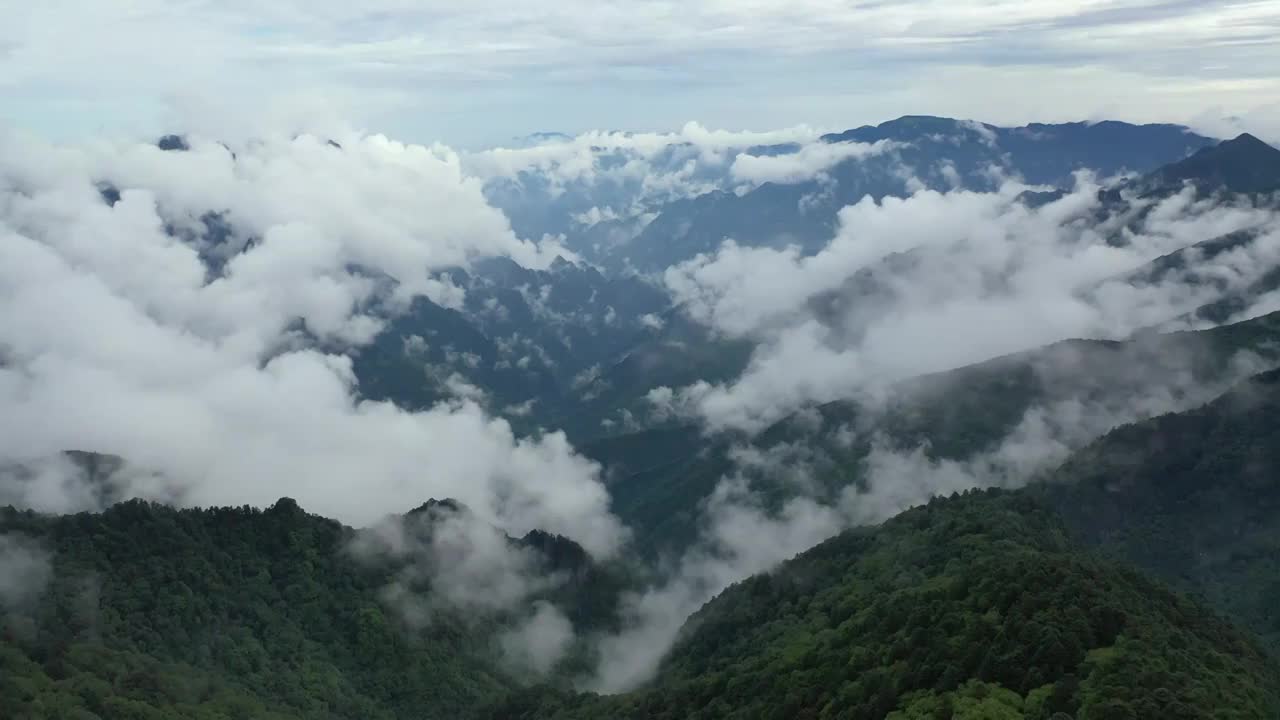 湖北神农架林区神农顶云雾缭绕自然风光视频素材