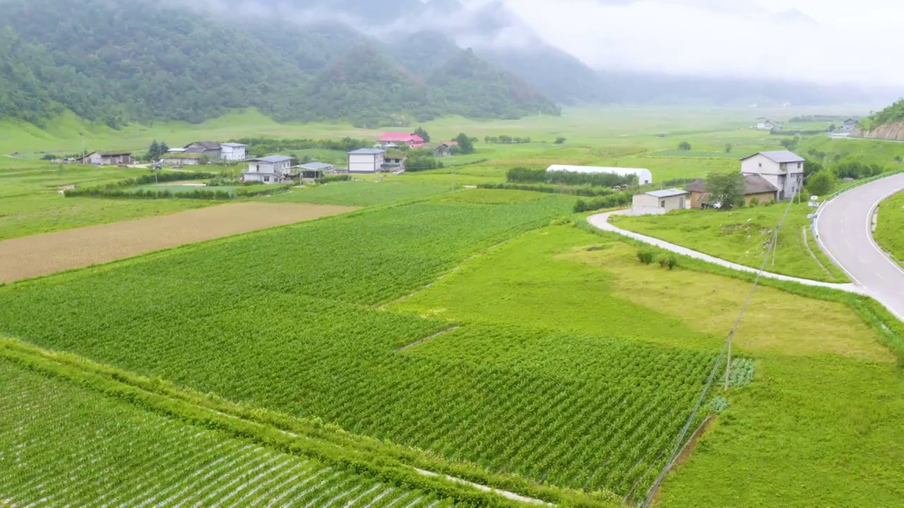 航拍国家森林公园4A级景区重庆红池坝风景区视频素材