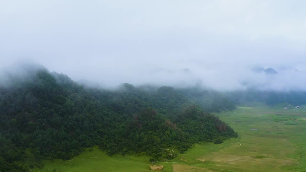 航拍国家森林公园4A级景区重庆红池坝风景区视频素材