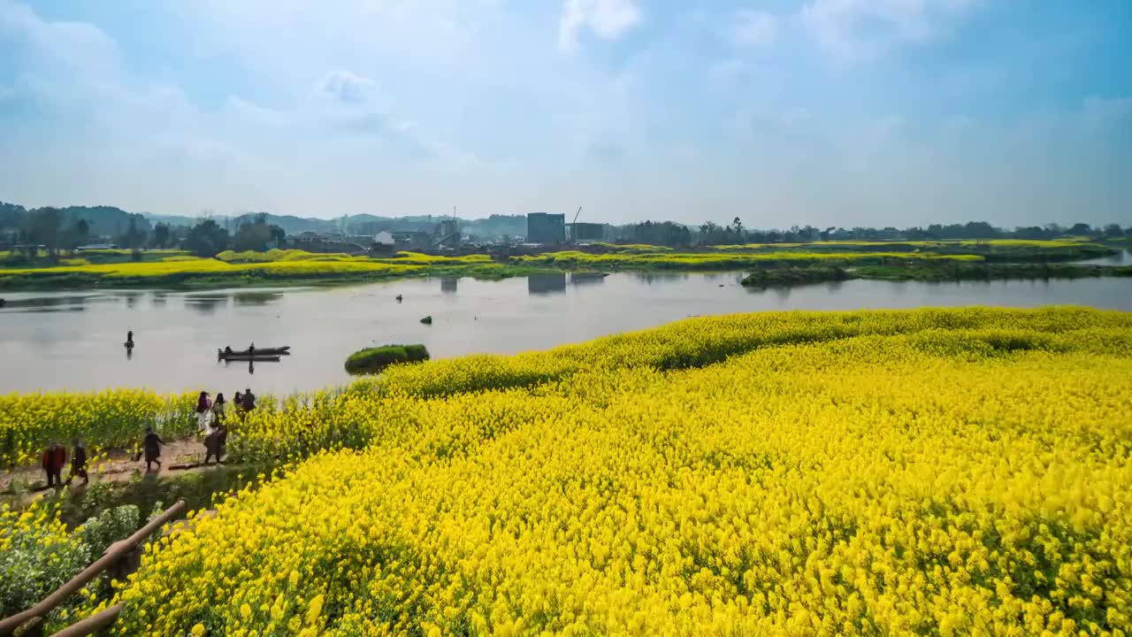 成都近郊金堂两河村油菜花航拍视频素材