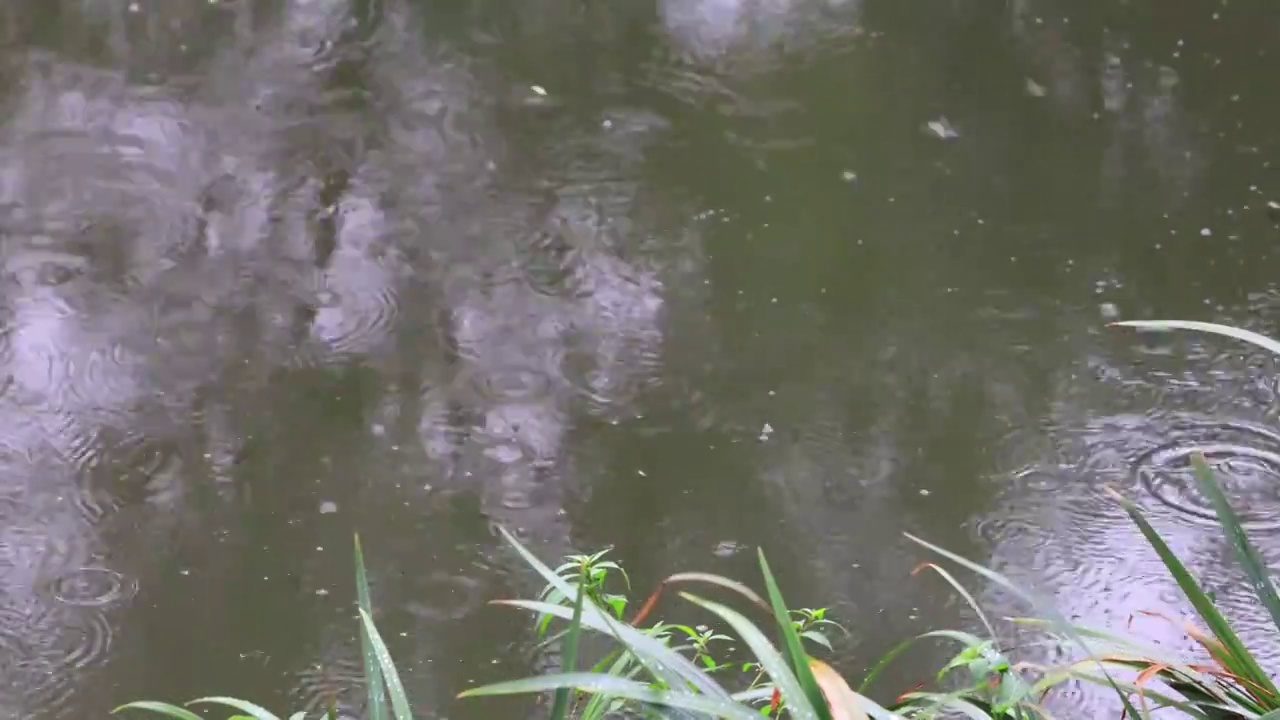 下雨天的水面视频素材