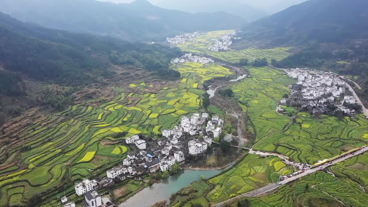 江西婺源江岭春季油菜花海梯田风光航拍 合集（合集）视频素材