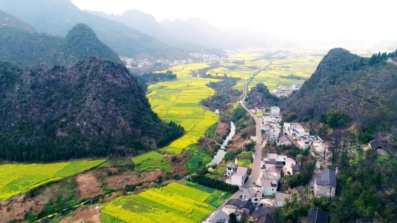 贵州兴义万峰林景区油菜花航拍视频素材