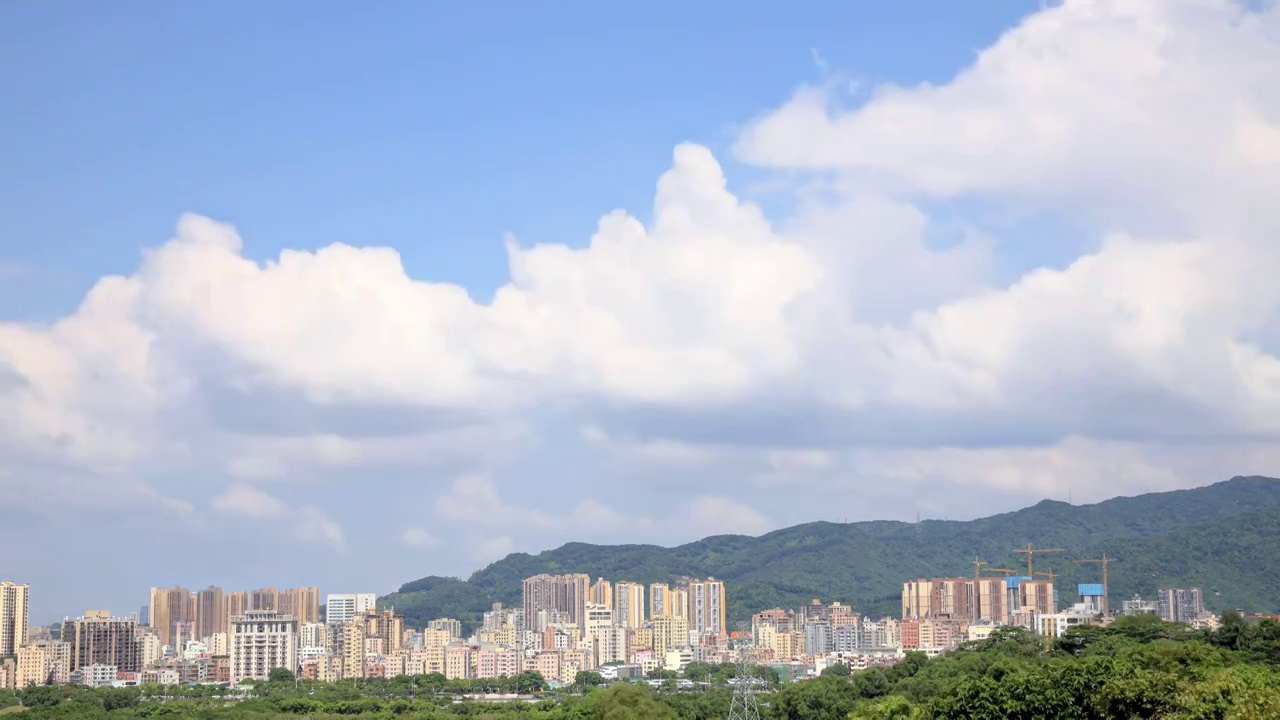 深圳石岩湖湿地公园视频素材